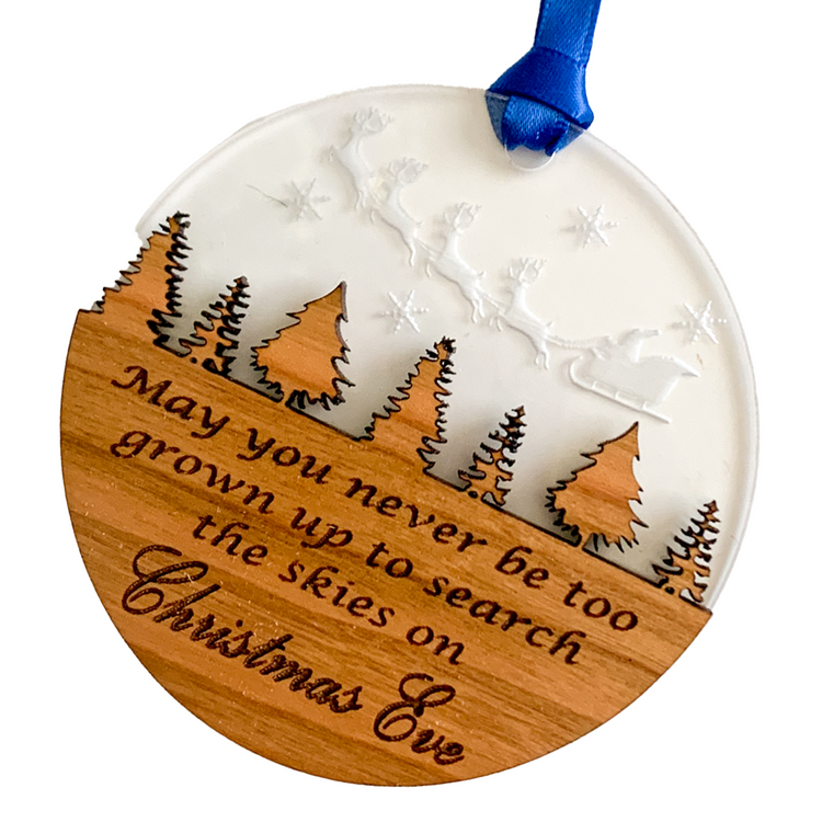 Search The Skies Ornament