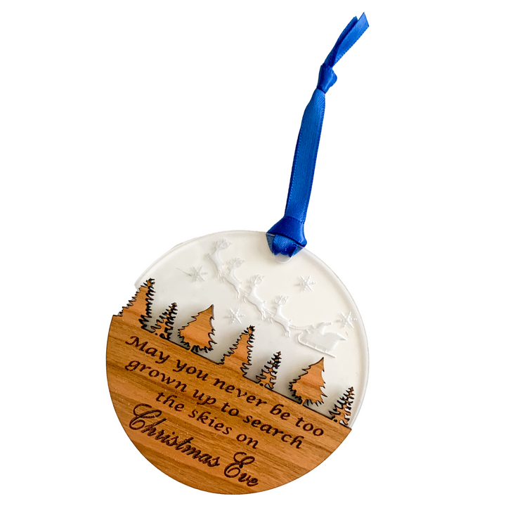 Search The Skies Ornament